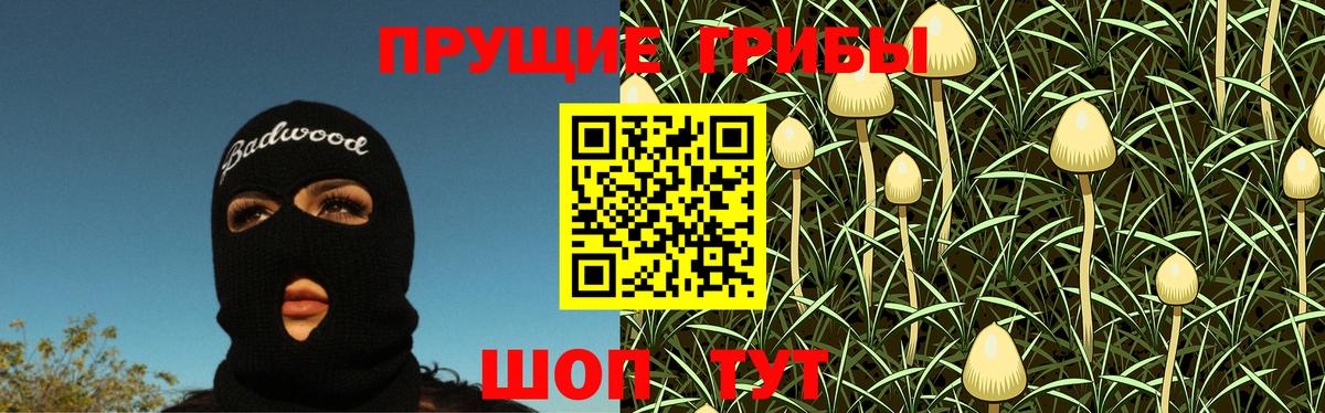 Псилоцибиновые грибы Psilocybe Камышлов