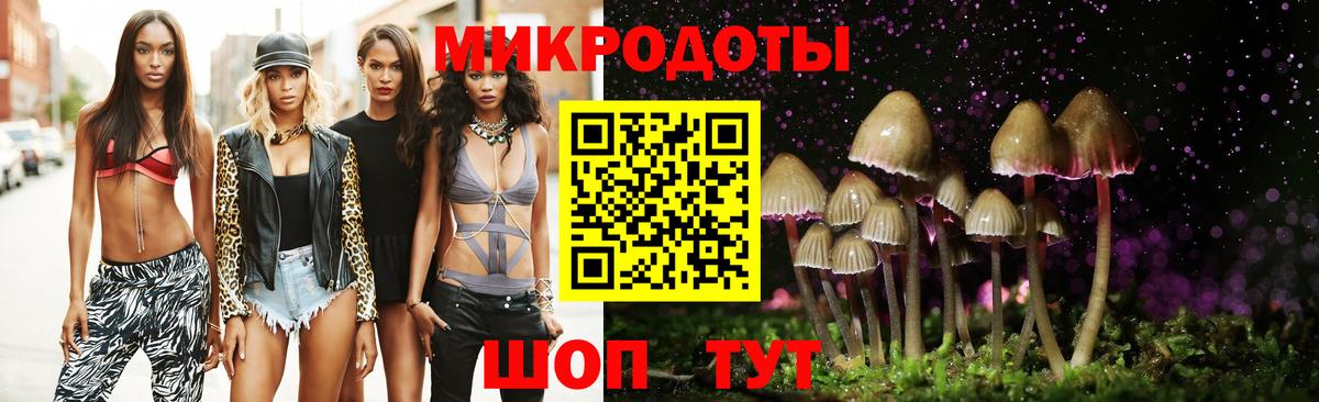 Псилоцибиновые грибы Cubensis  Вход с VPN  Камышлов 